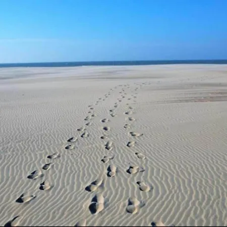 Coastal Comfort With Parking, Cleaning Included * Nieuwpoort